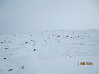 Lite snø på toppen av Grøtørhøgda