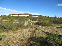 Snøfonne rett under toppen