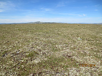Toppen av Bølhøgda var stor og flat
