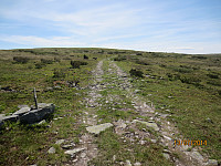 Kjerreveien som går mot Imsdalen