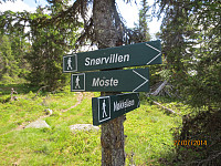 Lettleste skilt i starten