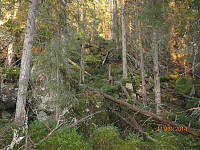 Krevende terreng i skogen opp mot Fallhaugen