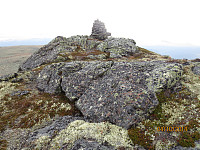 Toppvarden