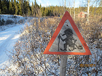 Her gjaldt det å være på vakt opp lia i urskogen