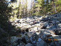 Glatt og bratt steinur i skogen opp mot vestre toppen