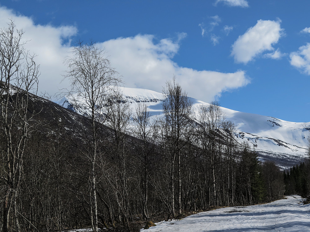 Tromsdalstinden i bakgrunnen