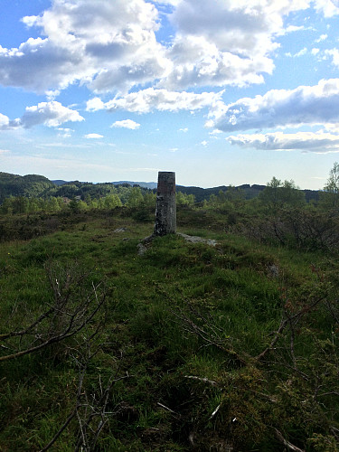 Haggardsrinden