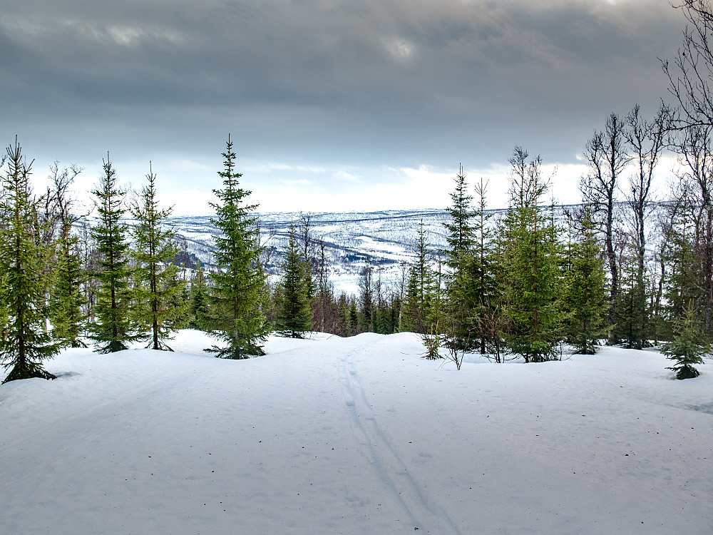 Våt snø og mildvær på vei oppover anleggsveien fra Blomli mot sørtoppen på Fagerfjellet. Kom påsken litt tidlig i år?