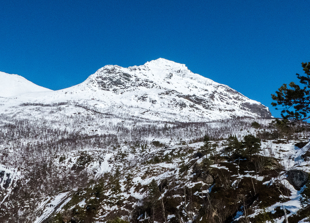 Lille Forra ruver høyt der oppe. Merkelig nok er lillebroren, Store Forra (1157 moh) 71 meter lavere. Navninndelingen til disse to toppene er derfor litt uforståelig.