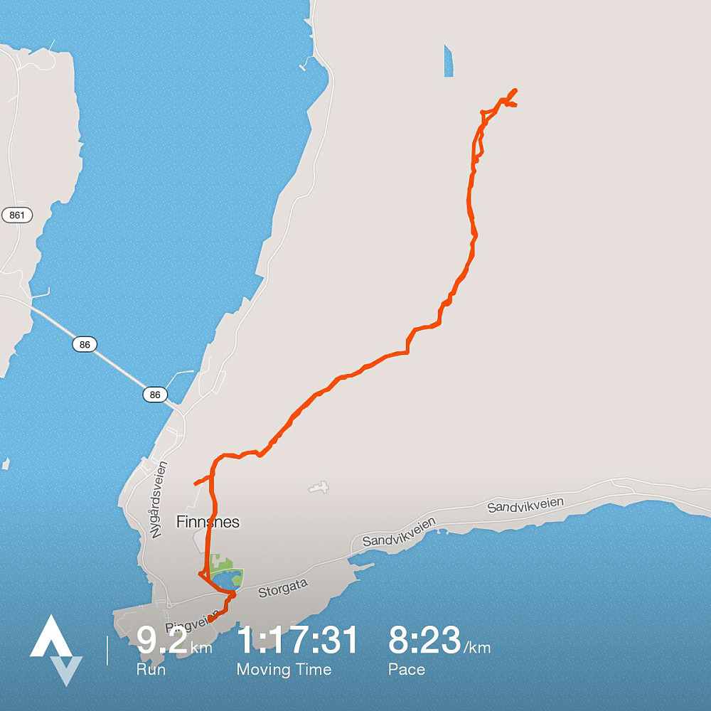 Turdata fra Strava
