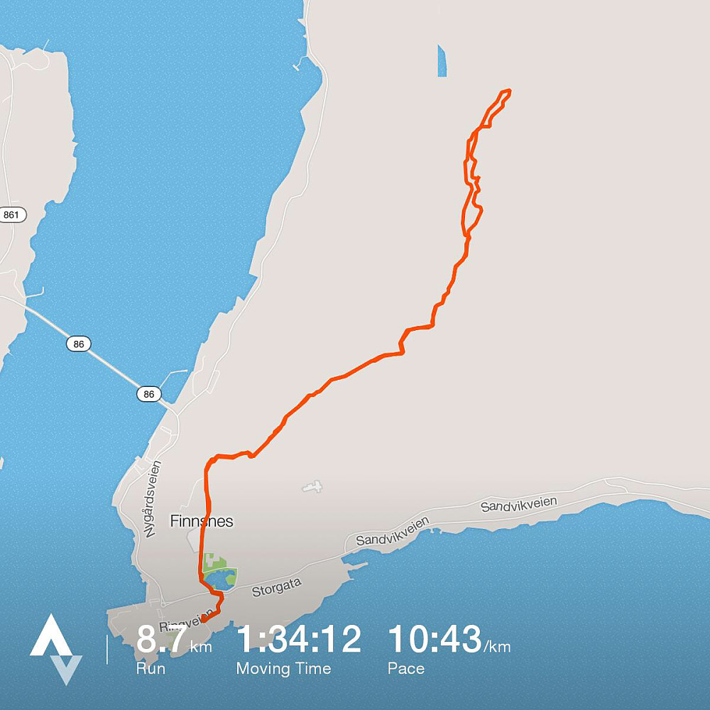 Turdata fra Strava