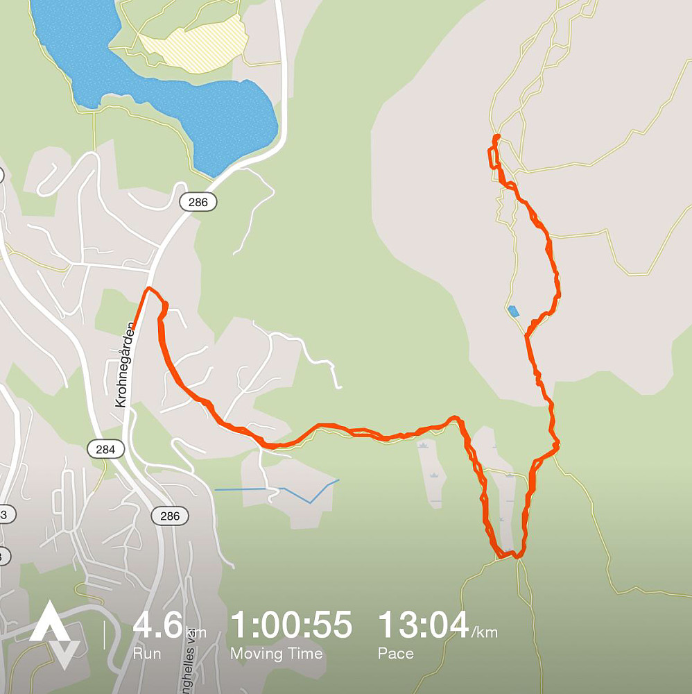 Turdata fra Strava
