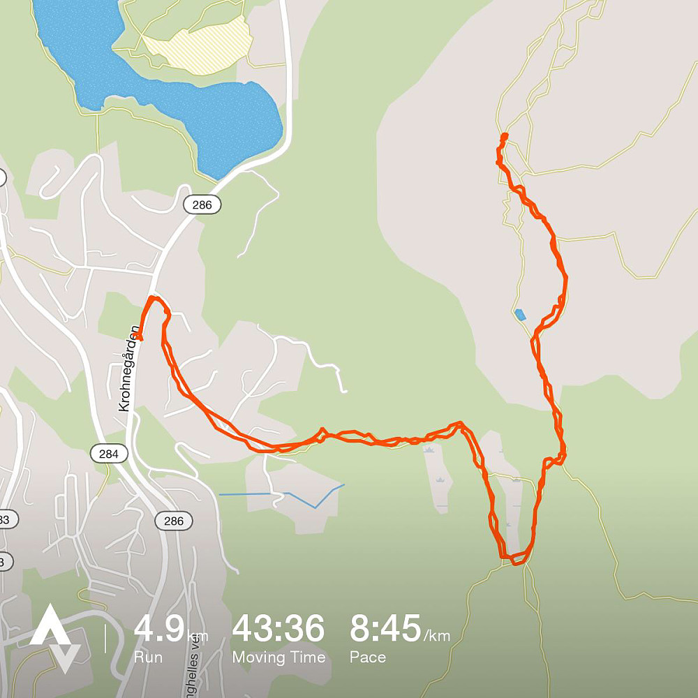 Turdata fra Strava