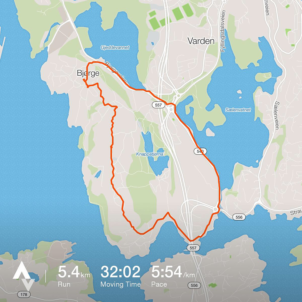 Turdata fra Strava.