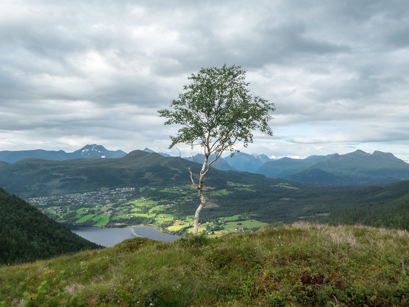 ørsta enslig