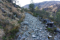 Fjellsamleren_20171023_59ee5e00cec97.jpg