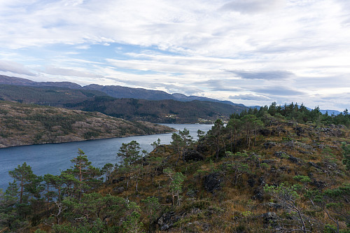 Utsikt over Trengereidfjorden mot sør