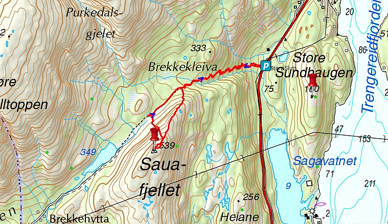 Skjermdump av GPS-sporet mitt