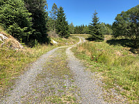 Fjellsamleren_20180630_5b378cd04863f.jpg