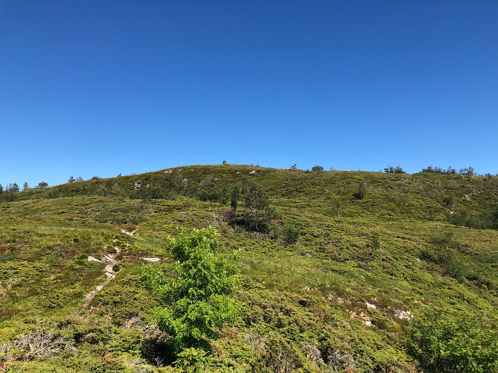 Toppen av Selifjellet