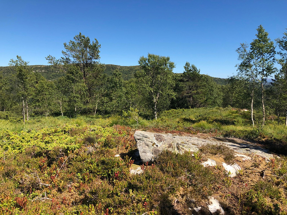 Toppen av Grimstadfjellet