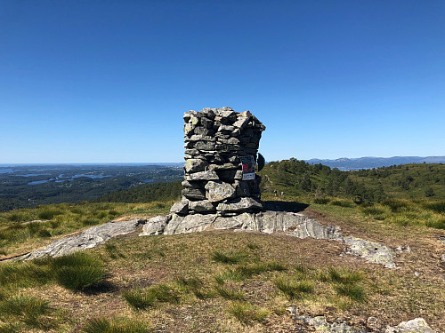 Toppvarden