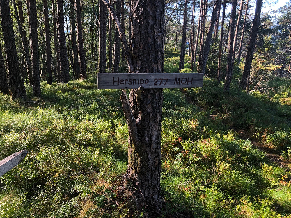 Toppen av Jerfjellet/Hersnipo