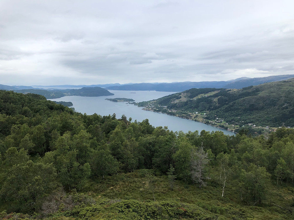Utsikt over Hindnesfjorden