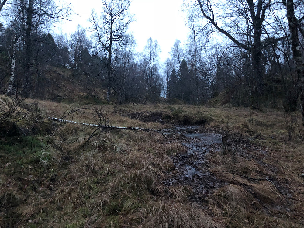 Greit og lettgått terreng opp til Solåsen