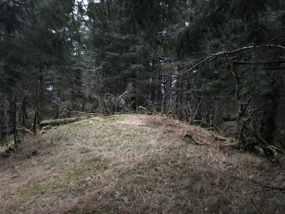 Toppunktet på Solåsen