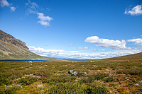 Fjellsamleren_20190601_5cf2b7f1ec5c8.jpg