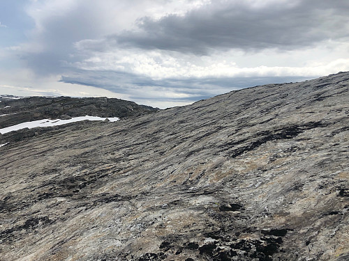 Svaene like nedenfor toppen av Haugane