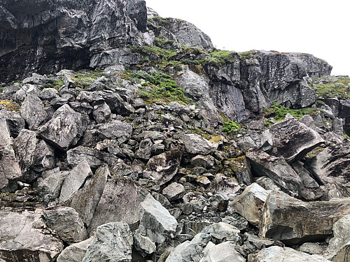 Hissig steinur i skaret mellom Blåkoll og Sveindalsnuten
