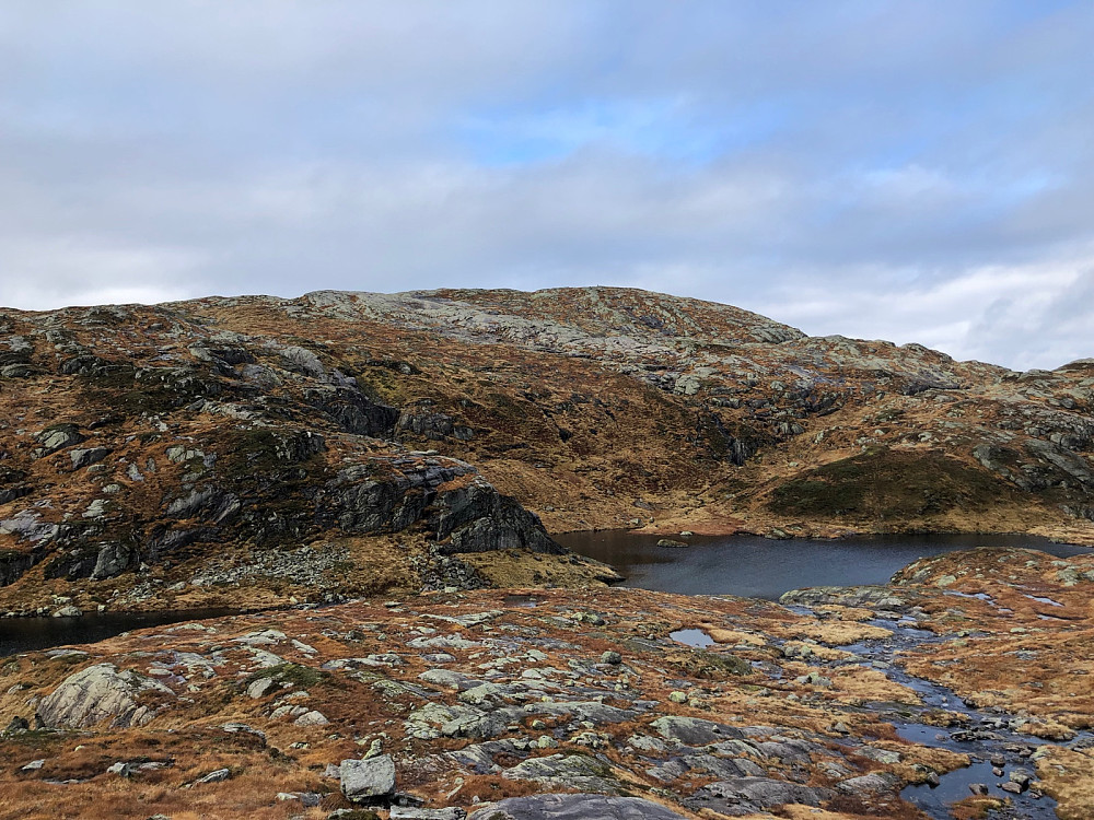 Storevarden