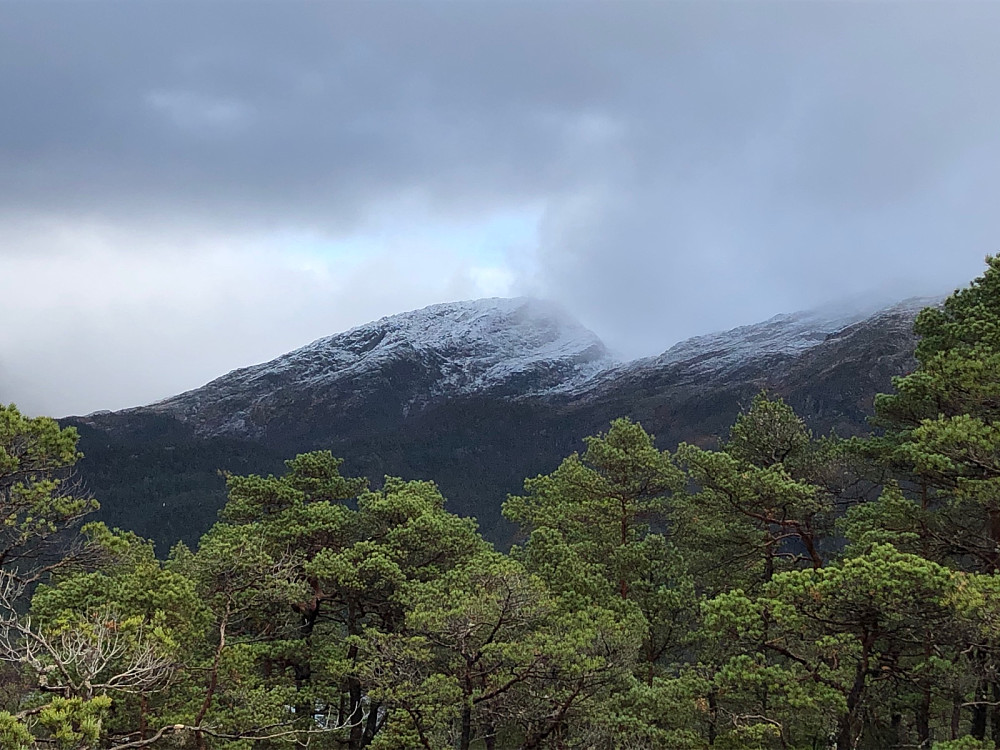 Grytefjellet med nysnø