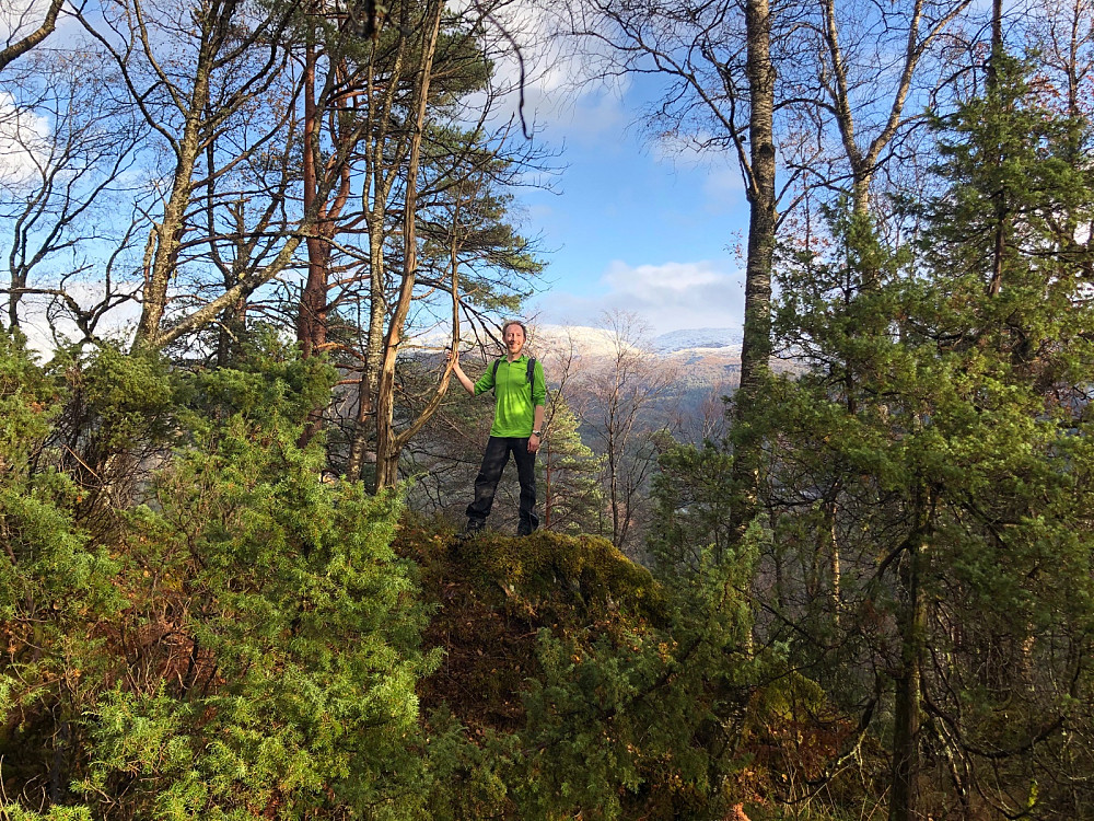 Harald på toppen av Høgehaugen