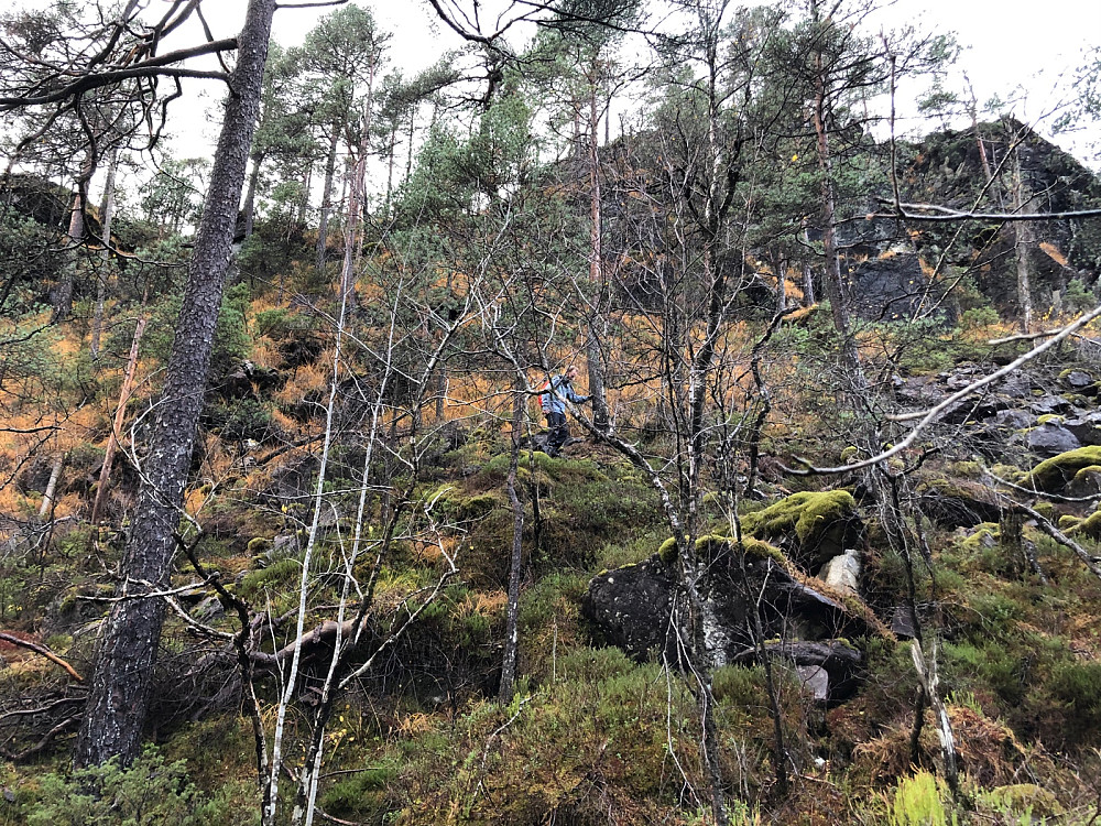 Ned fra den småbratte knausen på nordsiden av Botnen