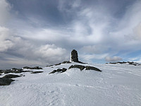 Fjellsamleren_20200407_5e8cf26876330.jpg