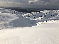Fjellsamleren_20200407_5e8cf26917938.jpg