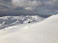 Fjellsamleren_20200407_5e8cf26993e33.jpg