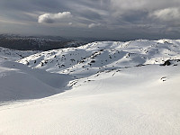 Fjellsamleren_20200407_5e8cf26ab0537.jpg
