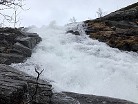 Fjellsamleren_20200523_5ec9905a22614.jpg
