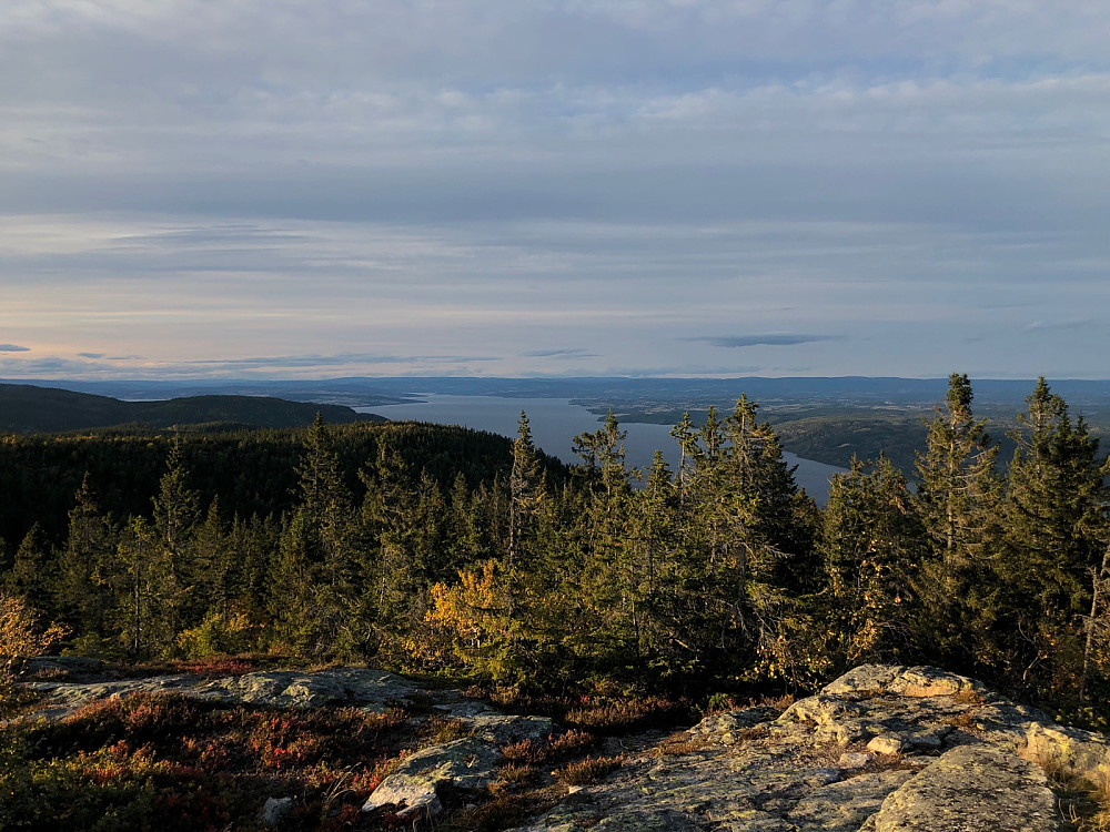 Flott Østlandsnatur