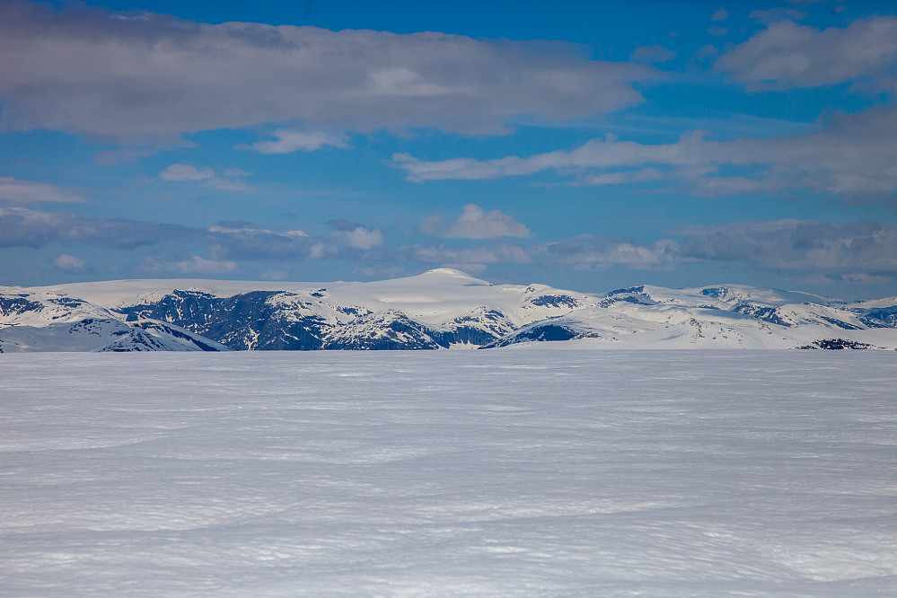 Snønipa (gårsdagens tur) sett fra Grovabreen