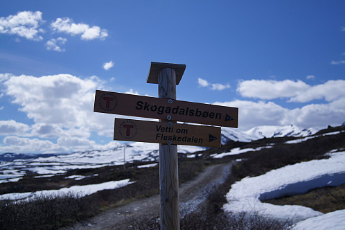 Fulgte stien fra anleggsveien mot Skogadalsbøen 