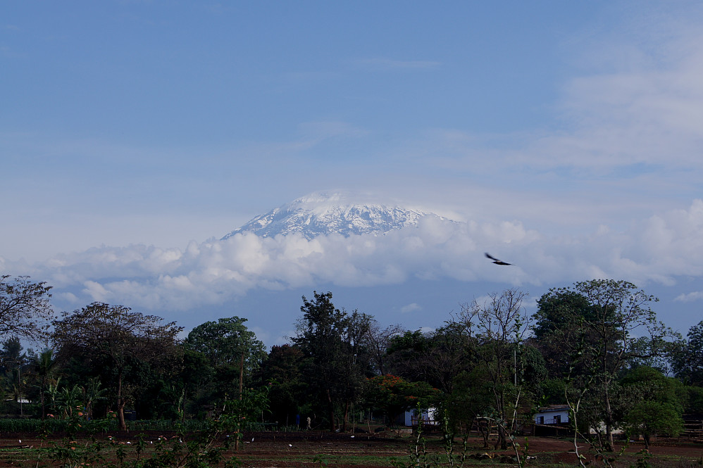 Kilimanjaro sett fra hotellrommet vårt