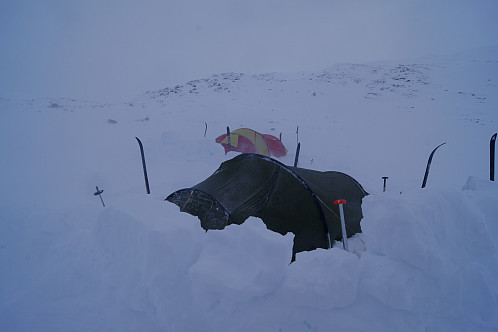 Campen vår litt nord for Finndalsvatnet