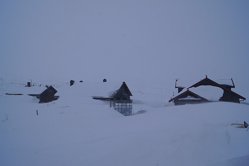 Heinseter