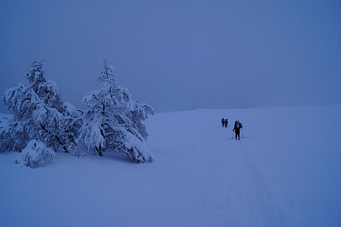 Mye nysnø ved Rjukan. Etterhvert som vi kom lenger ned møtte vi tregrensen og terrenget forandret seg