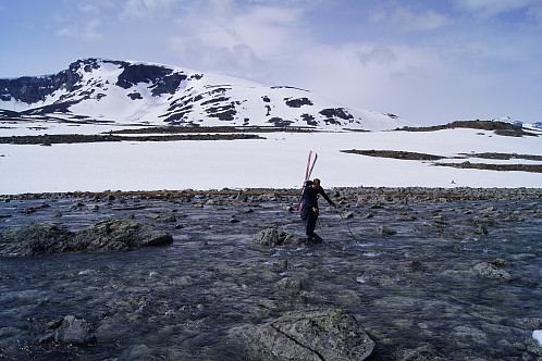 Det var mye vannføring i elven og stegene måtte vurderes